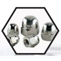 Dome Nuts – Decorative Acorn Cap Nuts for Safe and Aesthetic Bolt End Protection in Furniture, Guarding and Architectural Metalwork – Mild Steel and Stainless Steel, Polished, Plated or Painted Finishes, Metric Sizes